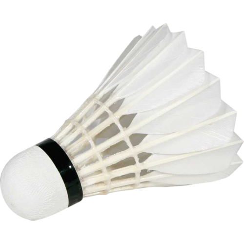 TUBE VOLANTS BADMINTON PLUMES VICTOR CHAMPION N°1