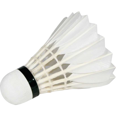 TUBE VOLANTS BADMINTON PLUMES VICTOR CHAMPION N°1